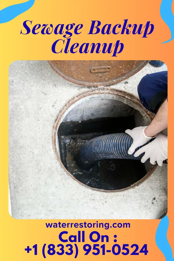 Sewage Backup Cleanup in Clawson, MI
